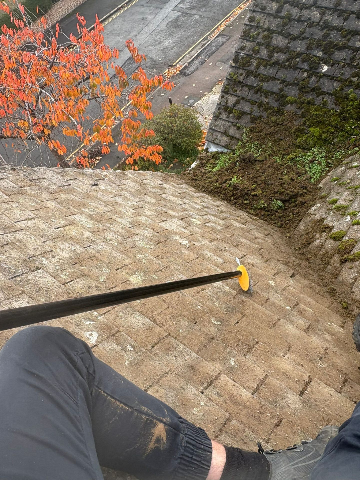 Heavy moss growth on roof tiles being treated with professional cleaning equipment